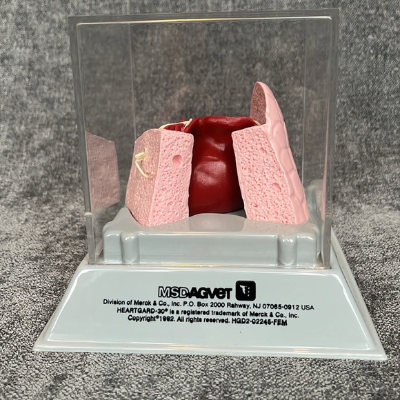 New Heartworm Model - Picture 7 of 8